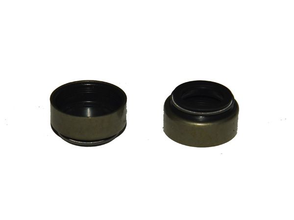 閥桿密封（導管油封）127.03.80.06