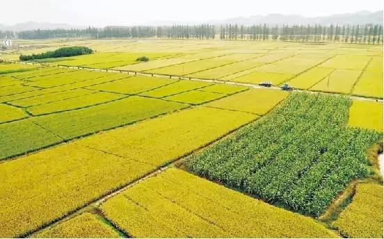 強化政策多渠道扶持 河南省高標準農田建設的戰略布局