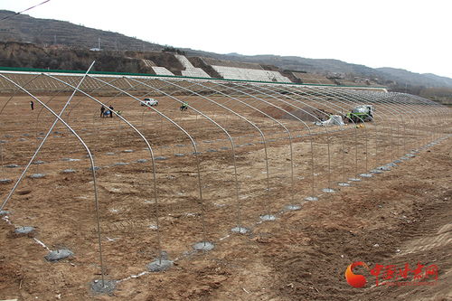 莊浪縣大力推進農業基礎設施升級重大農業產業化項目啟動
